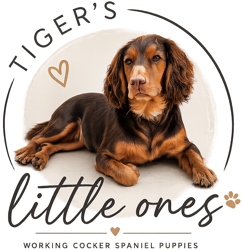 Tiger’s Little Ones