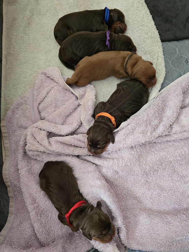 Sleepy babies with full tummies ❤️