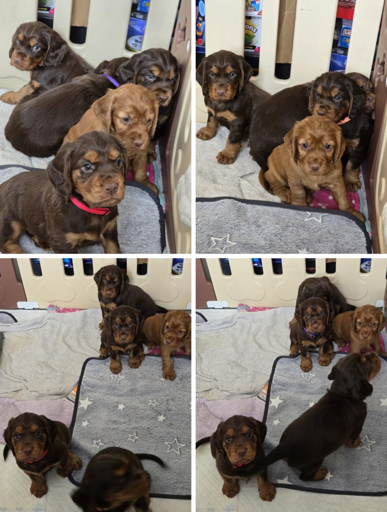 Trying to get a group photo is getting harder by the day